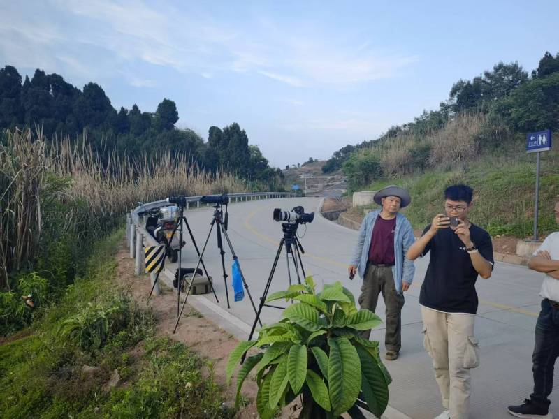 产品宣传视频覆盖全国80%用户的神秘设计